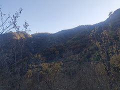 -阳台山自然风景区