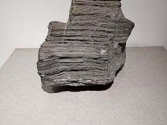 -中国地质博物馆
