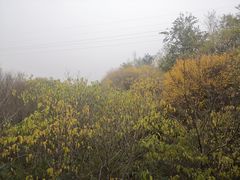 -淇河国家湿地公园