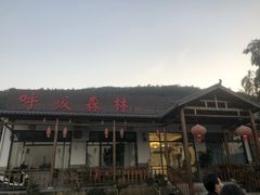 -呼吸森林·生态农庄农家乐私房菜