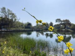 -尚湖风景区