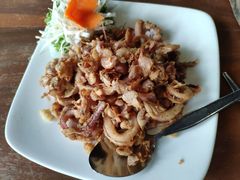 -绿光森林餐厅