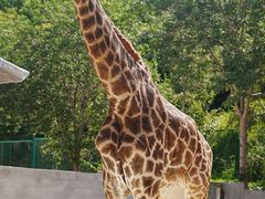 -水上乐园·欢乐世界