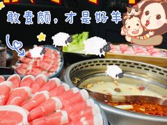 -快乐小羊·内蒙牛羊肉火锅(流花中心店)