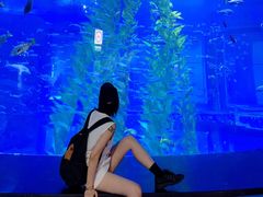 -南昌融创海世界
