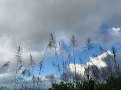 -太平山顶