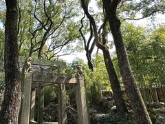-天一阁博物院