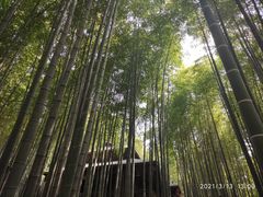 -宝岩生态观光园