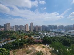 -仙岳公园
