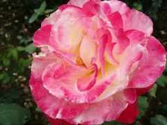 -人民公园(罗湖区)