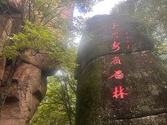 -汤旺河林海奇石景区