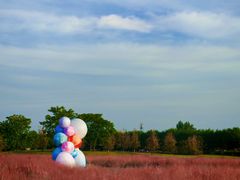 -汉长安城未央宫国家考古遗址公园