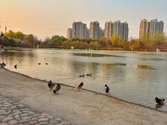 -太阳宫公园