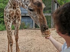 -清迈夜间动物园