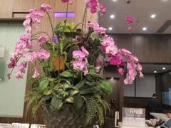 -上海虹桥西郊假日酒店