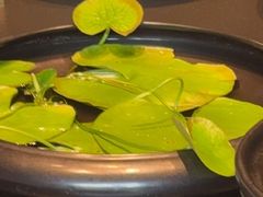 -虹之森·小馆