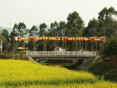 -光明小镇欢乐田园