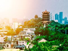 -黄鹤楼公园(黄鹤楼)