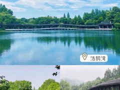-八卦田遗址公园