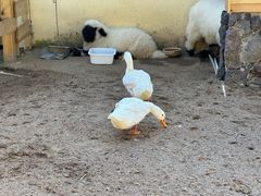 -HERRE·FARM 赫尔露营农场·团建聚会包场