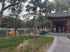 -莲湖公园