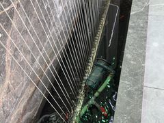 -pd派德宠物中心医院24H急重症·眼科中心·血液透析中心(嵩山北路店)