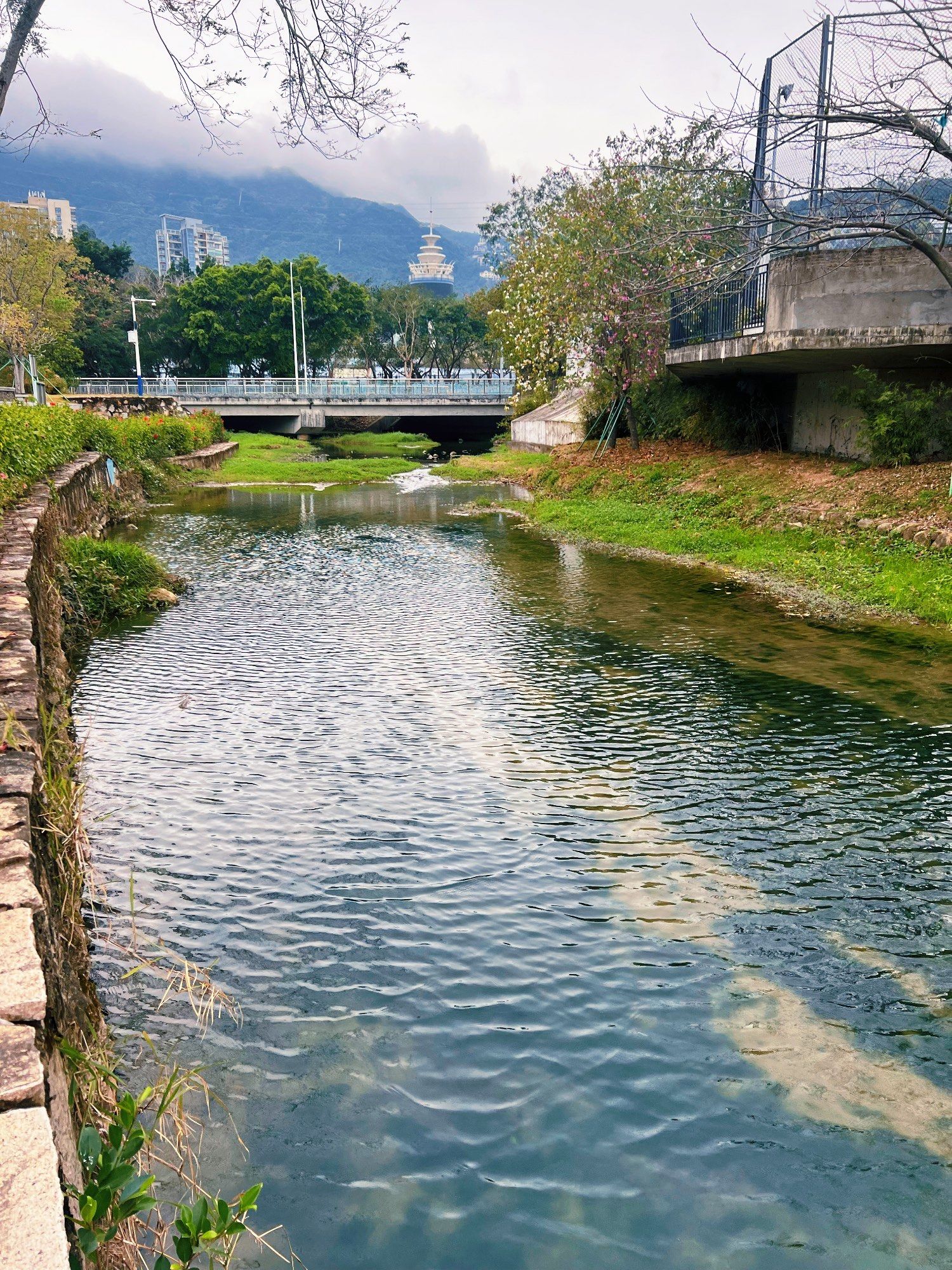 大梅沙河生态公园漫步