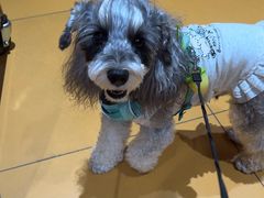 -MARSMART PETS火星宠物超市(1733店)