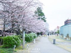 -金泽21世纪美术馆