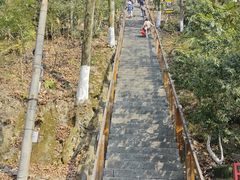 -云碧峰国家森林公园
