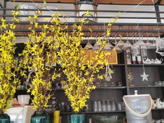 -花舍·新派粤菜·西餐·下午茶(亚运村·鸟巢店)
