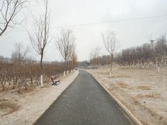 -门城湖公园