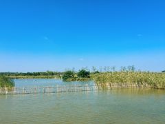 -盐城丹顶鹤湿地生态旅游区