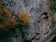 -茅兰沟国家森林公园