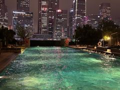 -深圳星河丽思卡尔顿酒店