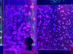 -顺德南宏海立方海洋公园