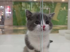 -KingThaia金泰兰(来福士中心店)