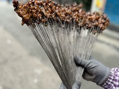 -杨记烤肉老店