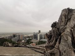 -东望洋炮台东望洋灯塔