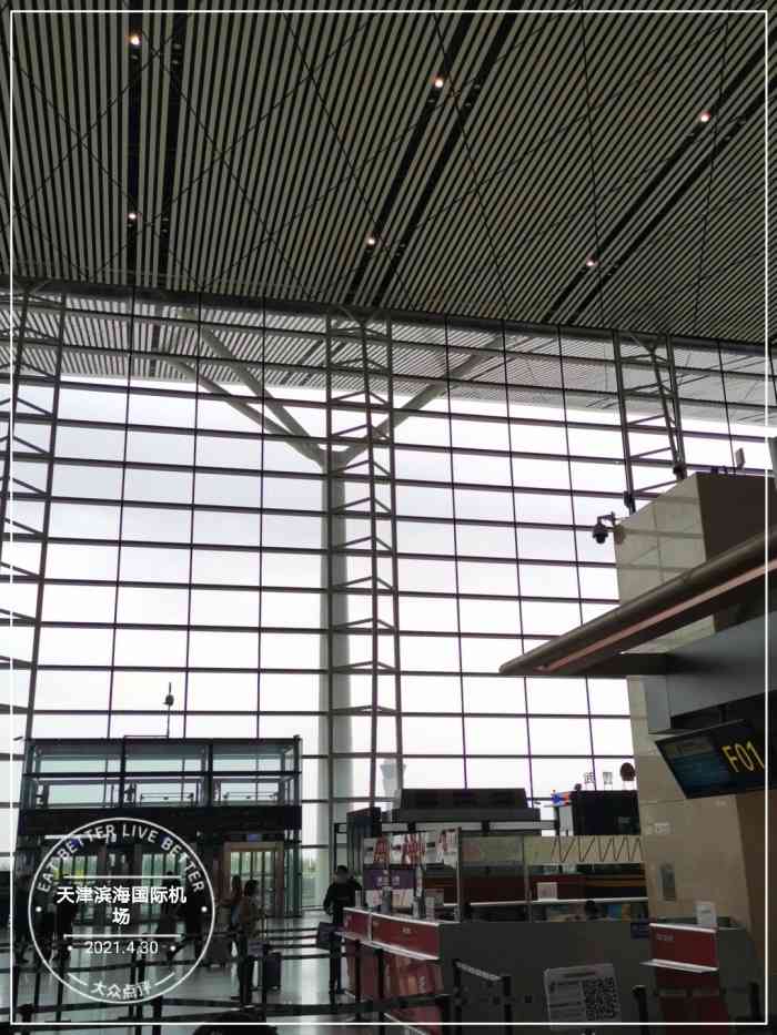 东丽飞机场图片