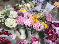 -三圣花乡旅游区