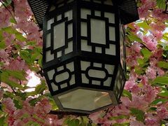 -南京市民俗博物馆(甘熙故居)