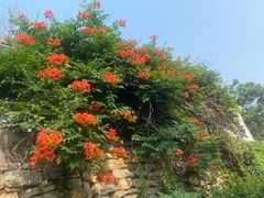 -青州市云门山风景区