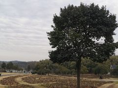 -宜兴龙背山森林公园