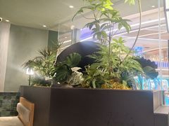-芸山季·云南山珍菌火锅(南翔印象城MEGA店)