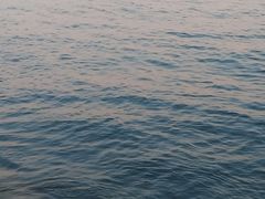 -黄金海岸环岛路