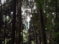 -青城山