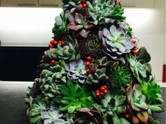 iphone_upload_pic-亭亭鲜花店(中山北路店)