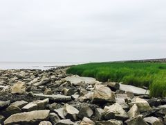 -南汇嘴观海公园