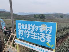 -龙坞茶村